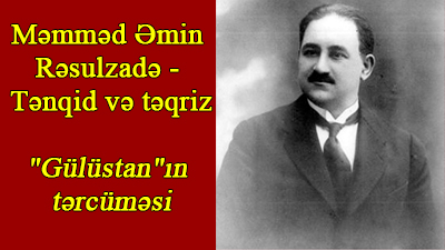 M.Ə.Rəsulzadə - Tənqid və təqriz