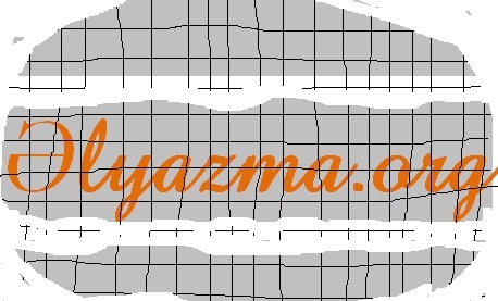 İlk regional ədəbiyyat portal açıldı