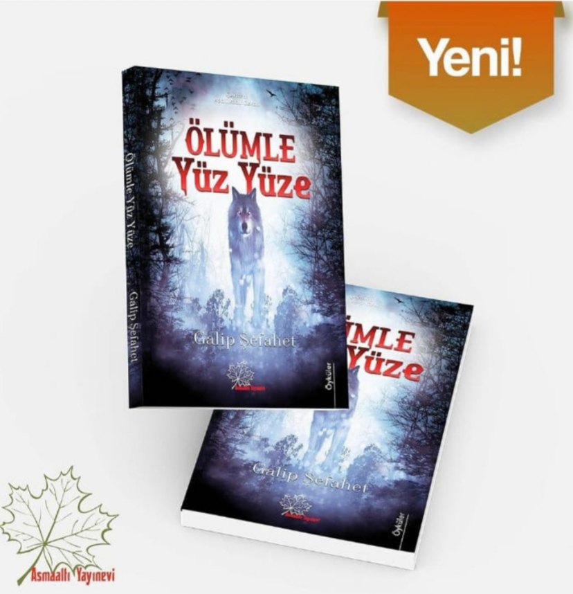 Qalib Şəfahətin "hekayələr kitabı Türkiyədə işıq üzü görüb