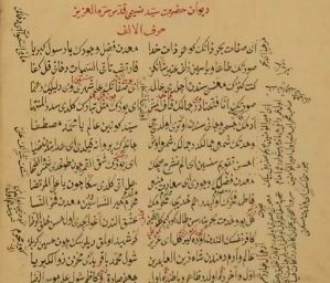 Nəsiminin türk divanının əlyazma nüsxəsinin surəti Bakıya gətirilib