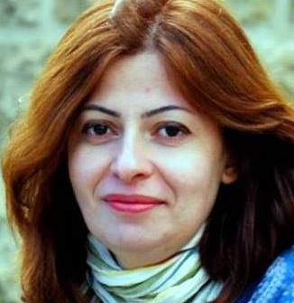 Hədiyyə Şəfaqət - Şaxtanın əlləri pəncərədə donmuşdu