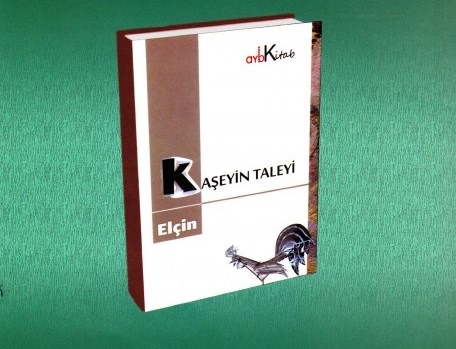 Gülnar Səma - Elçinin “Kölgə”si 