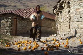 "Nabat" filmi İranda mükafat qazanıb