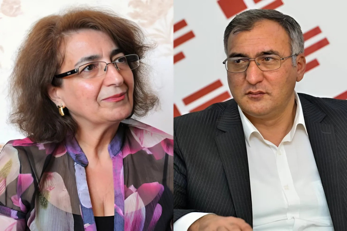 Mehriban Vəzir "Rəng mühəndisi" haqqında - Bundan sonra heç nə yazmasa belə... bəsidir