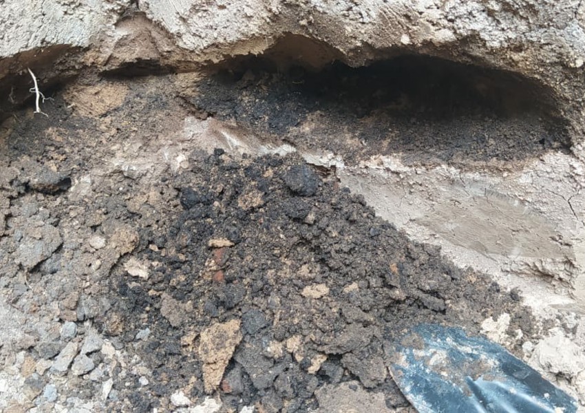 Cəlilabadda maddi mədəniyyət nümunələri aşkarlanıb